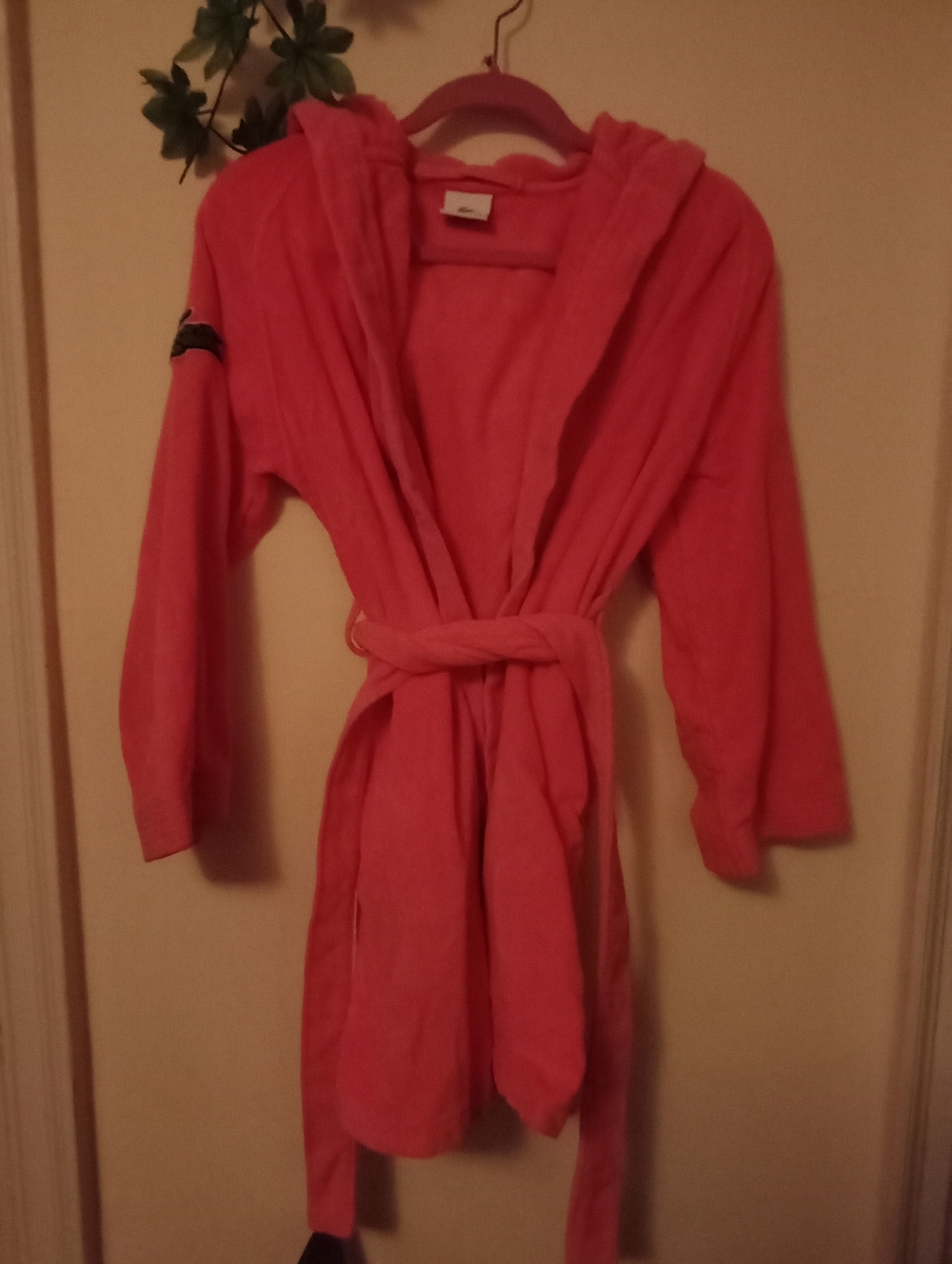 Lacoste Pre-owned Pink Robe